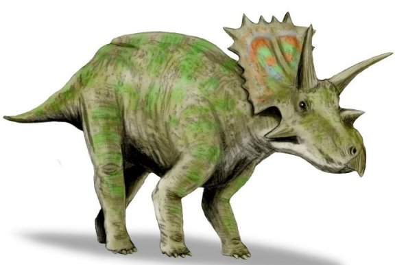 Anchiceratops ornatus - Prehistoric Animals