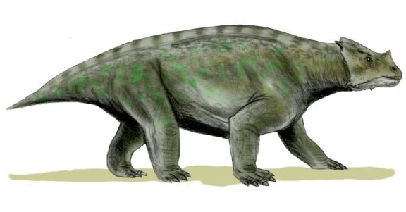 Arganaceras vacanti - Prehistoric Animals
