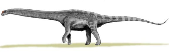 Argentinosaurus huinculensis - Prehistoric Animals