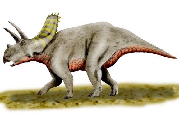 Arrhinoceratops brachyops - Prehistoric Animals