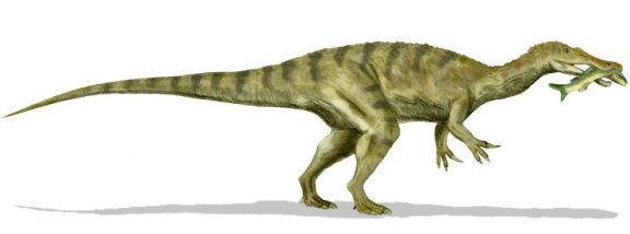 Baryonyx walkeri - Prehistoric Animals