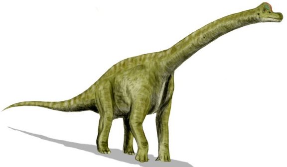 Brachiosaurus - Prehistoric Animals