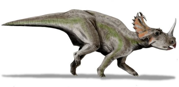 Centrosaurus apertus - Prehistoric Animals