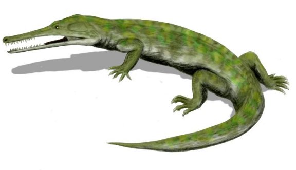 Champsosaurus - Prehistoric Animals
