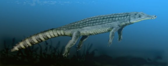 Chenanisuchus lateroculi - Prehistoric Animals