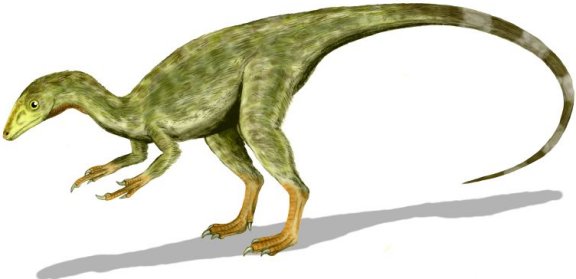 Compsognathus longipes - Prehistoric Animals