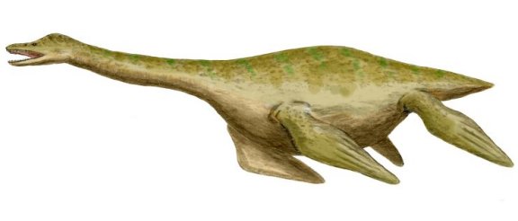 Cryptocleidus eurymerus - Prehistoric Animals