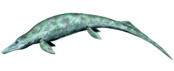 Cymbospondylus - Prehistoric Animals