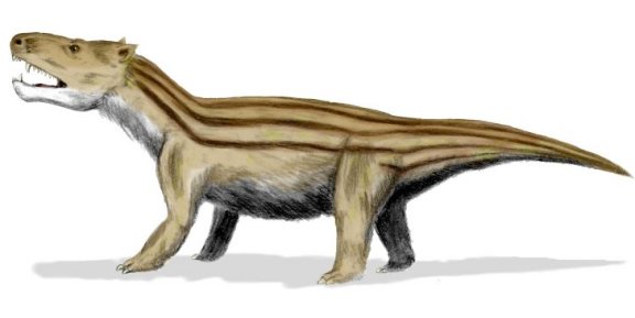 Cynognathus - Prehistoric Animals