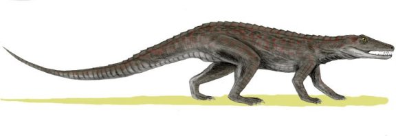 Erpetosuchus granti - Prehistoric Animals