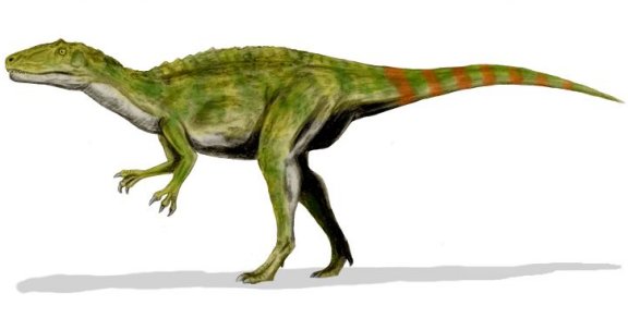 Fukuiraptor kitadaniensis - Prehistoric Animals