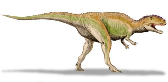 Giganotosaurus carolinii - Prehistoric Animals