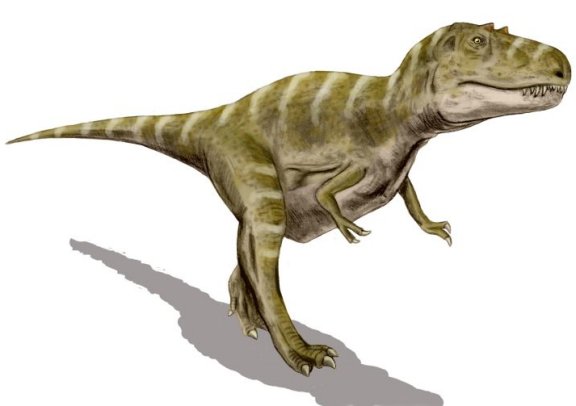 Gorgosaurus libratus - Prehistoric Animals