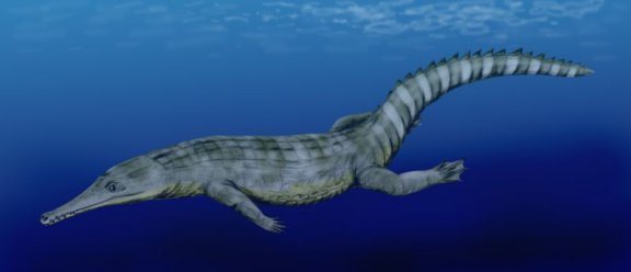 Guarinisuchus munizi - Prehistoric Animals