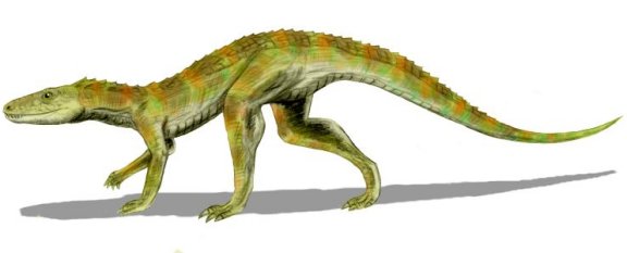 Hesperosuchus gracilis - Prehistoric Animals