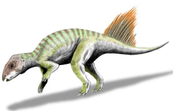 Hongshanosaurus houi - Prehistoric Animals