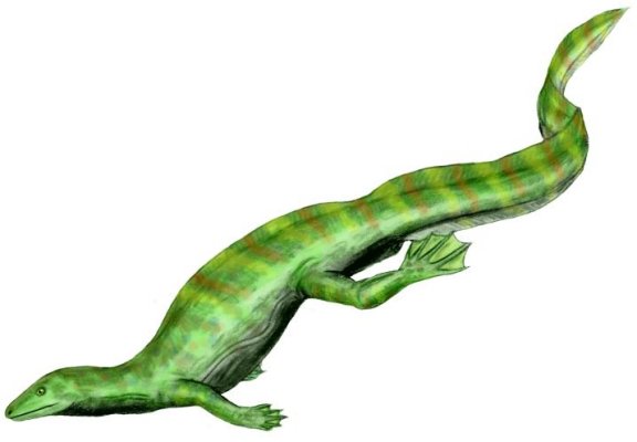 Hovasaurus boulei - Prehistoric Animals