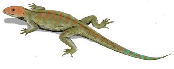 Hylonomus lyelli - Prehistoric Animals