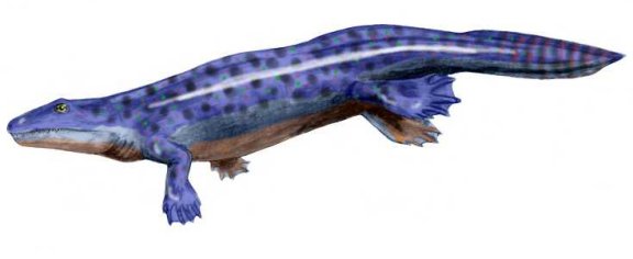 Ichthyostega - Prehistoric Animals