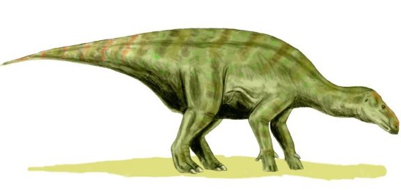 Iguanodon bernissartensis - Prehistoric Animals