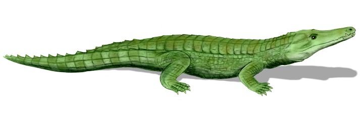 Itasuchus jesuinoi - Prehistoric Animals
