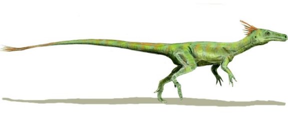 Juravenator starki - Prehistoric Animals