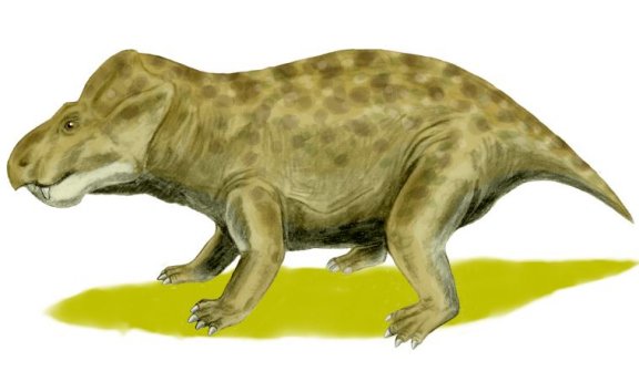 Kannemeyeria - Prehistoric Animals
