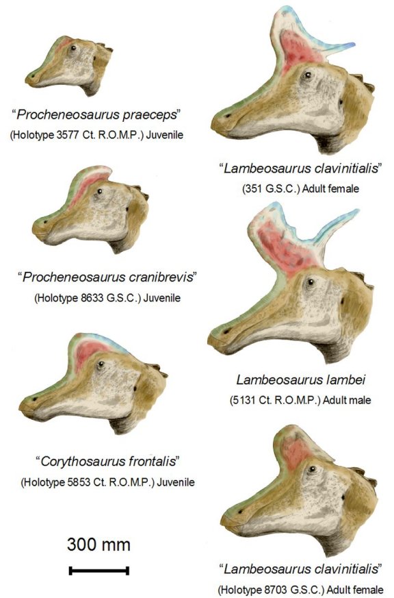 Lambeosaurus lambei - Prehistoric Animals