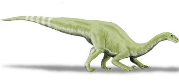 Lamplughsaura dharmarasensis - Prehistoric Animals