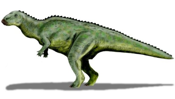 Lanzhousaurus magnidens - Prehistoric Animals