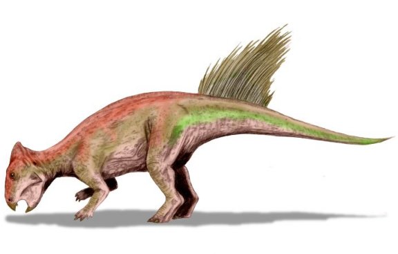 Liaoceratops yanzigouensis - Prehistoric Animals