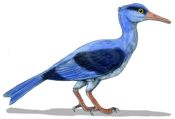 Longipteryx chaoyangensis - Prehistoric Animals