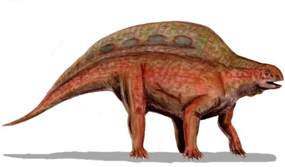 Lotosaurus adentus - Prehistoric Animals