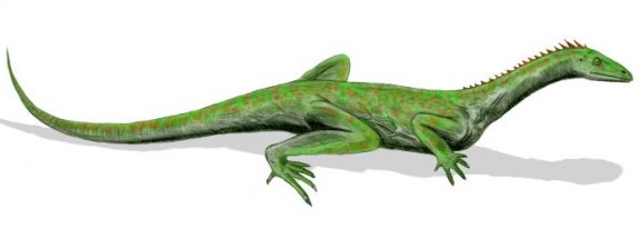 Macrocnemus basanii - Prehistoric Animals