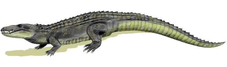 Mahajangasuchus insignis - Prehistoric Animals