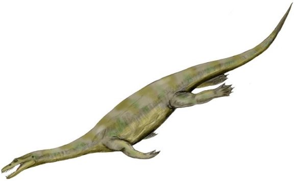 Nothosaurus - Prehistoric Animals