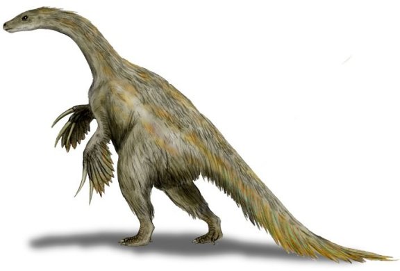 Nothronychus mckinleyi - Prehistoric Animals