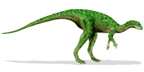 Othnielosaurus consors - Prehistoric Animals