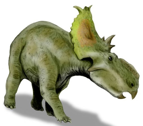 Pachyrhinosaurus canadensis - Prehistoric Animals