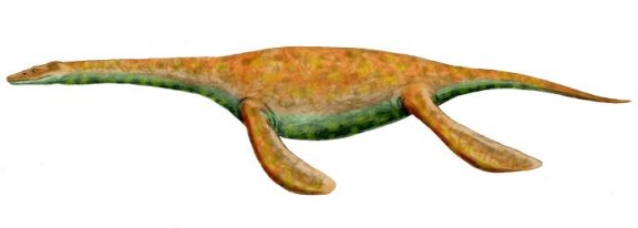 Pistosaurus longaevus - Prehistoric Animals
