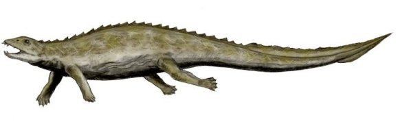 Placodus gigas - Prehistoric Animals