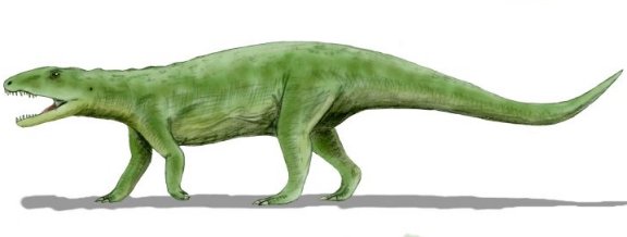Poposaurus gracilis - Prehistoric Animals