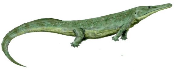 Prionosuchus plummeri - Prehistoric Animals