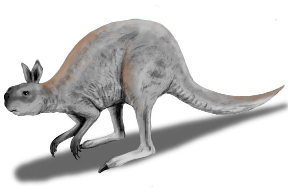 Procoptodon goliah - Prehistoric Animals