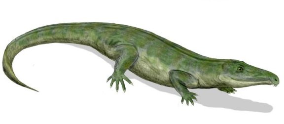 Proterosuchus fergusi - Prehistoric Animals