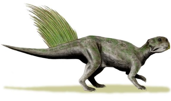 Psittacosaurus mongoliensis - Prehistoric Animals