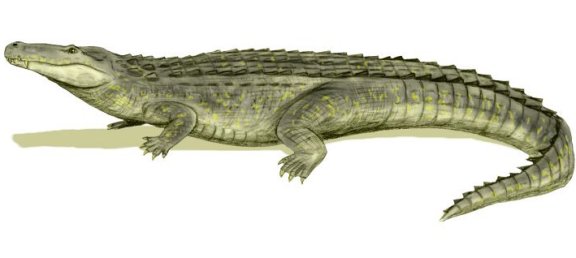 Purussaurus brasiliensis - Prehistoric Animals