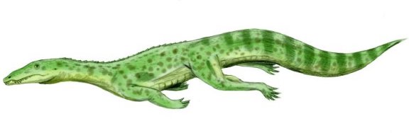Qianosuchus mixtus - Prehistoric Animals