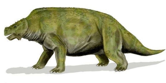 Scutosaurus karpinskii - Prehistoric Animals