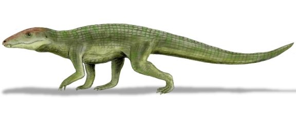 Uruguaysuchus aznaresi - Prehistoric Animals